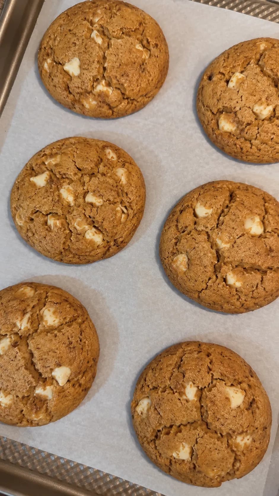 Galleta Pumpkin Spice